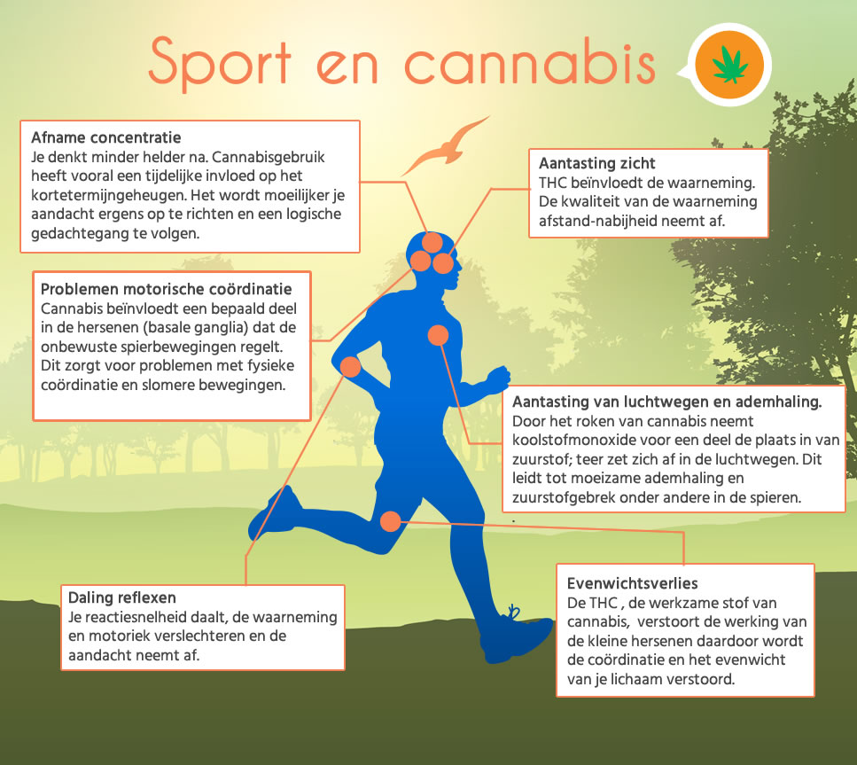 overzicht cannabis effecten sport
