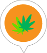 zelftest cannabis -18